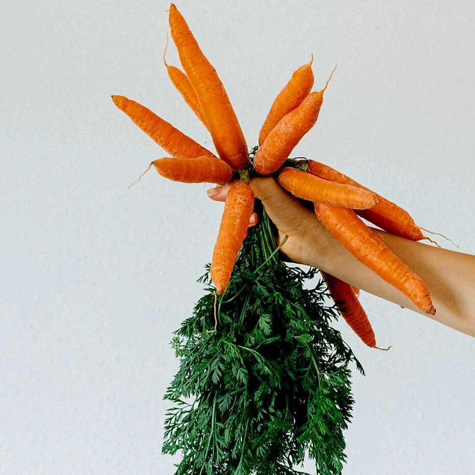 Golden Harvest Carrot Cake Recipe