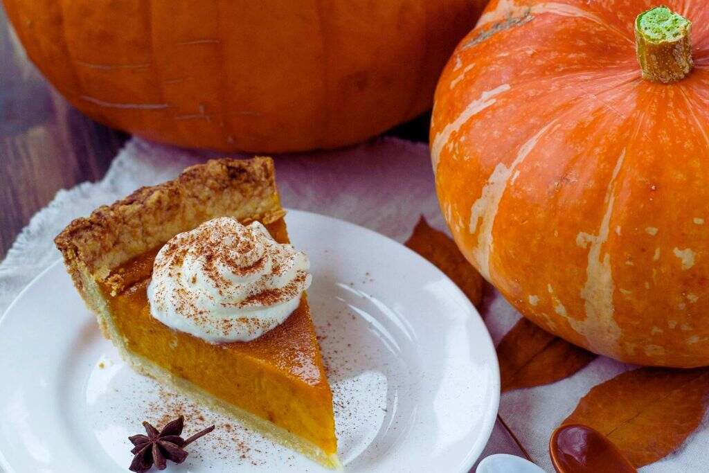 Harvest Bliss Pumpkin Pie