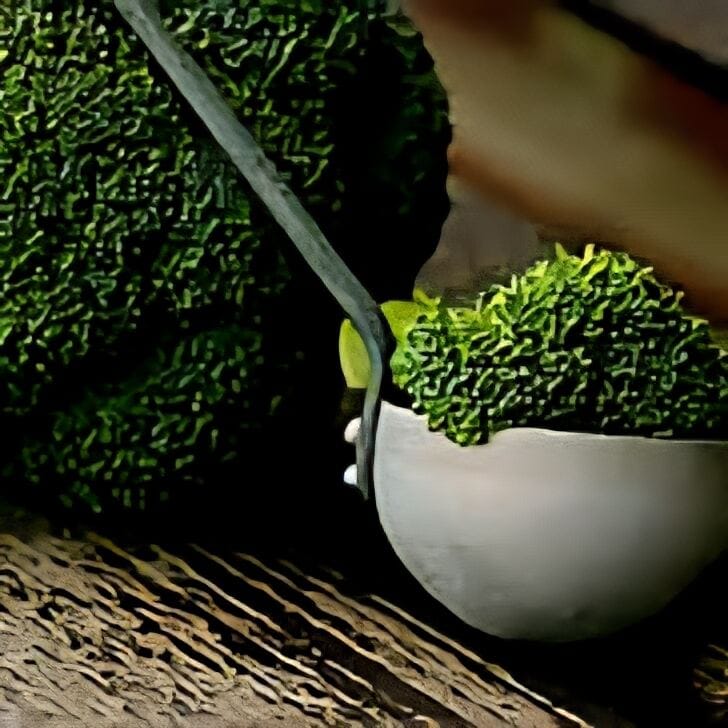 Cheesy Broccoli Baked Delight