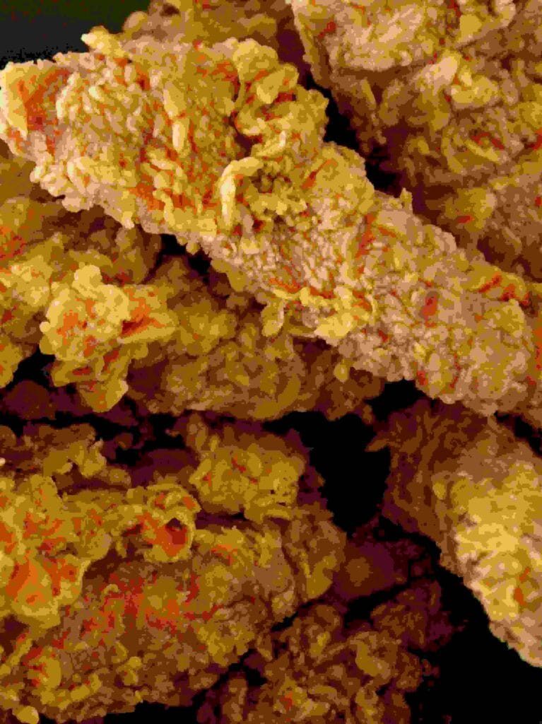 Homemade Golden Crunch Chicken Traders