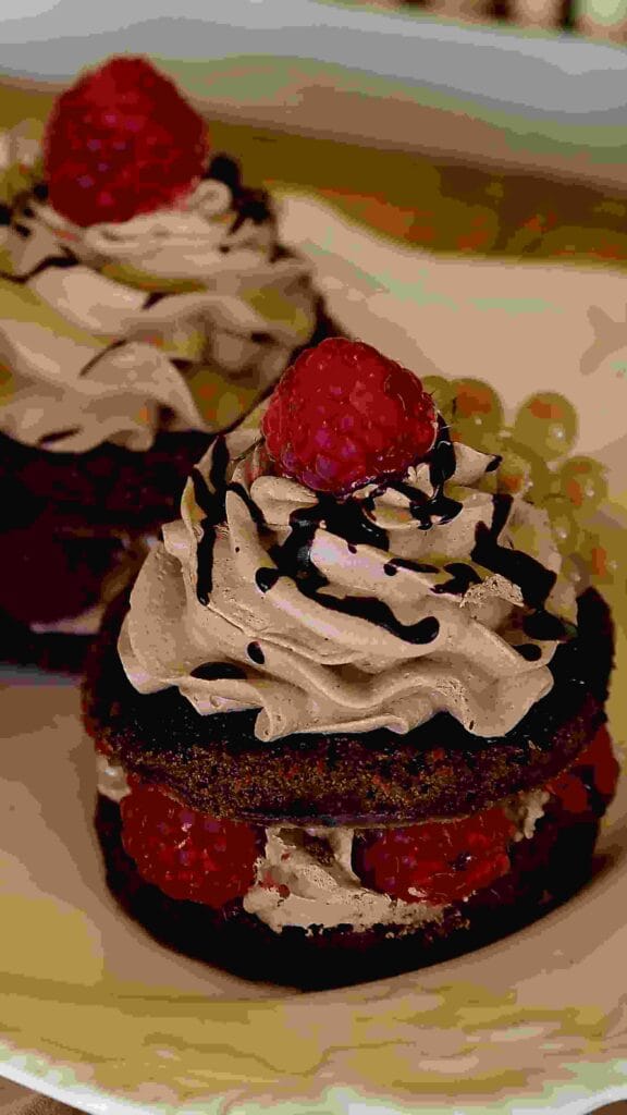 Chocolate Raspberry Swril Cookies