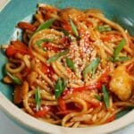 Tokyo Style Chicken Yaki Udon