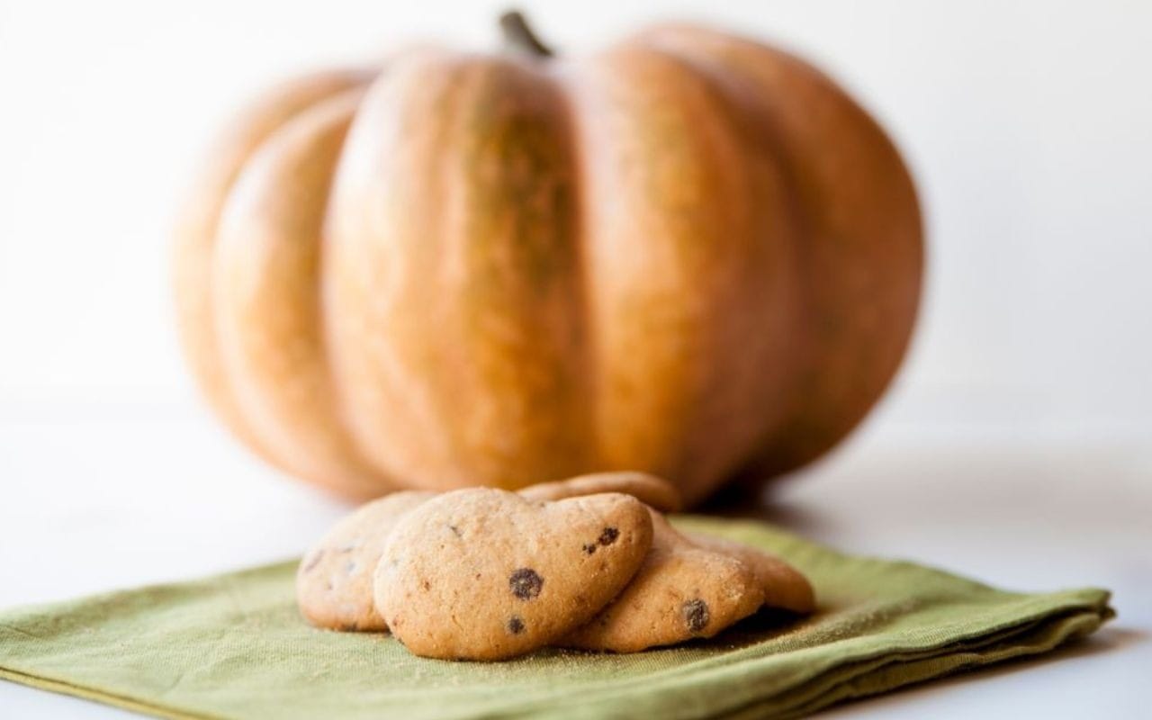 Soft And Cozy Pumpkin Chocolate Chip Cookies