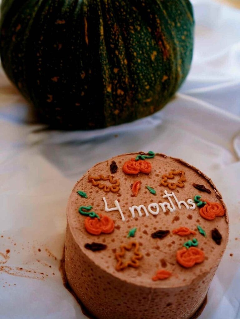 Pumpkin Velvet Dream Cake