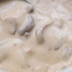 Meatless Dipping Gravy