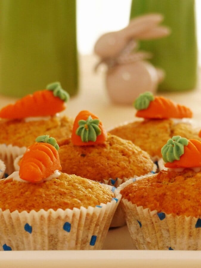 Sunshine Carrot Oatmeal Muffins